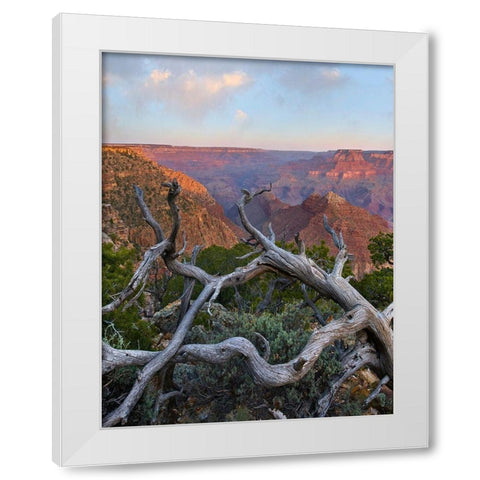 Desert View Overlook-Grand Canyon National Park-Arizona-USA White Modern Wood Framed Art Print by Fitzharris, Tim