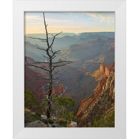 The Abyss from near Mohave point-Grand Canyon National Park-Arizona White Modern Wood Framed Art Print by Fitzharris, Tim