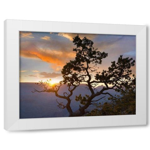 Yavapai Point-Grand Canyon National Park-Arizona-USA White Modern Wood Framed Art Print by Fitzharris, Tim