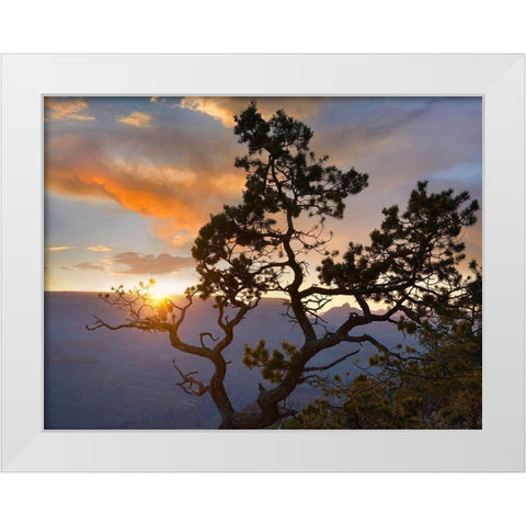 Yavapai Point-Grand Canyon National Park-Arizona-USA White Modern Wood Framed Art Print by Fitzharris, Tim