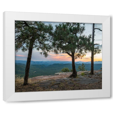 Mazatzal Wilderness-Coconino National Forest-Arizona White Modern Wood Framed Art Print by Fitzharris, Tim