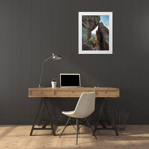 Echo Canyon Trail Chiricahua National Monument-Arizona-USA White Modern Wood Framed Art Print by Fitzharris, Tim