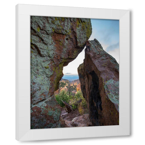 Echo Canyon Trail Chiricahua National Monument-Arizona-USA White Modern Wood Framed Art Print by Fitzharris, Tim