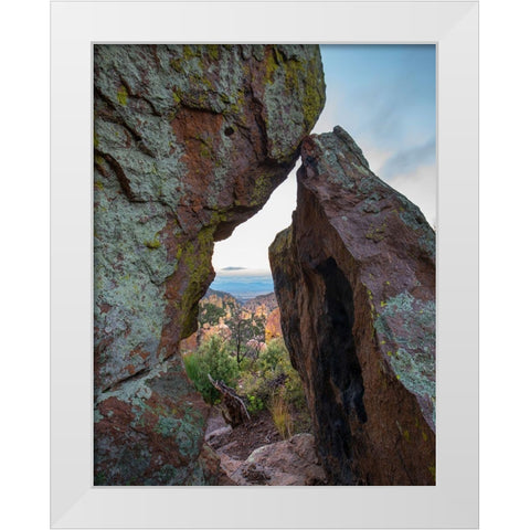 Echo Canyon Trail Chiricahua National Monument-Arizona-USA White Modern Wood Framed Art Print by Fitzharris, Tim