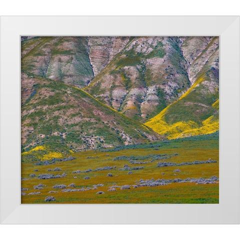 Temblor Mountains-Corrizo National Monument-California-USA White Modern Wood Framed Art Print by Fitzharris, Tim