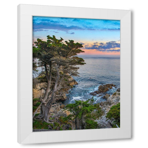 Pescdero Point-17-mile drive-Pebble-Beach-California-USA White Modern Wood Framed Art Print by Fitzharris, Tim