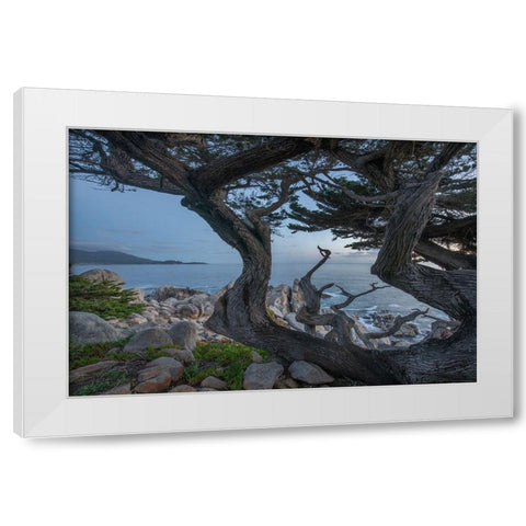 Pescdero Point-17-mile drive-Pebble-Beach-California-USA White Modern Wood Framed Art Print by Fitzharris, Tim