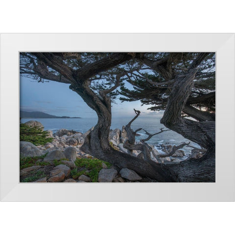 Pescdero Point-17-mile drive-Pebble-Beach-California-USA White Modern Wood Framed Art Print by Fitzharris, Tim