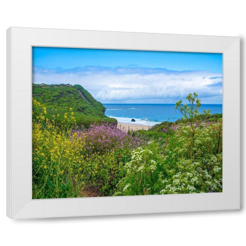 Garrapata Stare Park-Big Sur-California-USA White Modern Wood Framed Art Print by Fitzharris, Tim