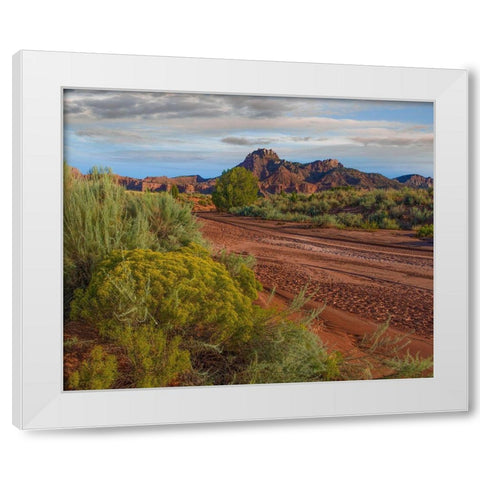 Vermillion Cliffs National Monument-Arizona-USA White Modern Wood Framed Art Print by Fitzharris, Tim