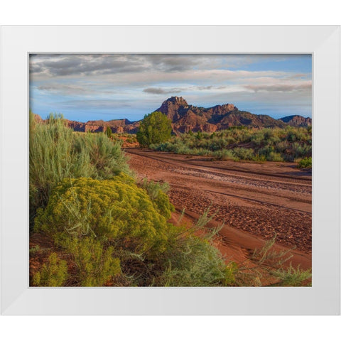 Vermillion Cliffs National Monument-Arizona-USA White Modern Wood Framed Art Print by Fitzharris, Tim