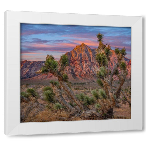 Spring Mountains at Red Rock Canyon National Conservation Area-Utah White Modern Wood Framed Art Print by Fitzharris, Tim