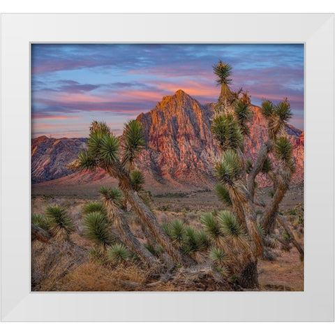 Spring Mountains at Red Rock Canyon National Conservation Area-Utah White Modern Wood Framed Art Print by Fitzharris, Tim