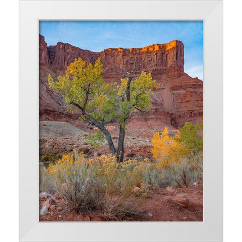 Sandstone Cliffs at Porcupine Canyon-Utah White Modern Wood Framed Art Print by Fitzharris, Tim