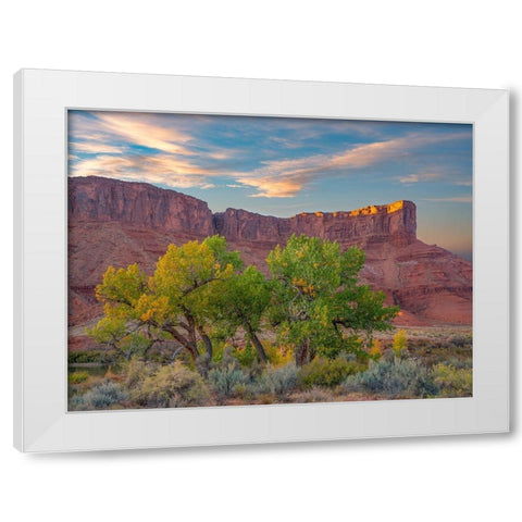 Sandstone Cliffs at Porcupine Canyon-Utah White Modern Wood Framed Art Print by Fitzharris, Tim