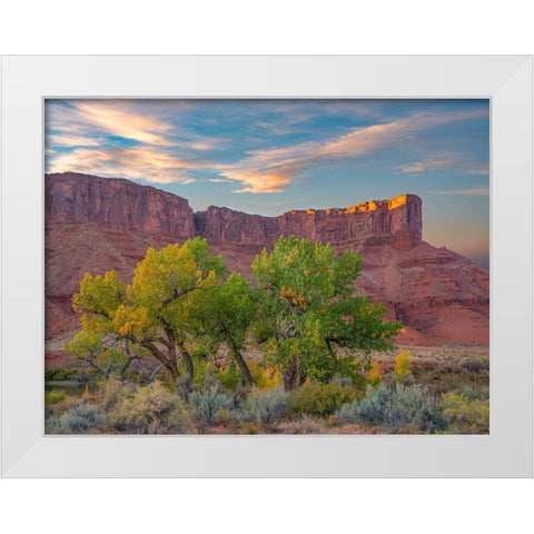 Sandstone Cliffs at Porcupine Canyon-Utah White Modern Wood Framed Art Print by Fitzharris, Tim