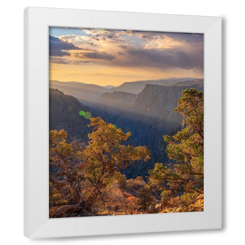 Tomichi Point-Black Canyon of the Gunnison National Park-Colorado White Modern Wood Framed Art Print by Fitzharris, Tim