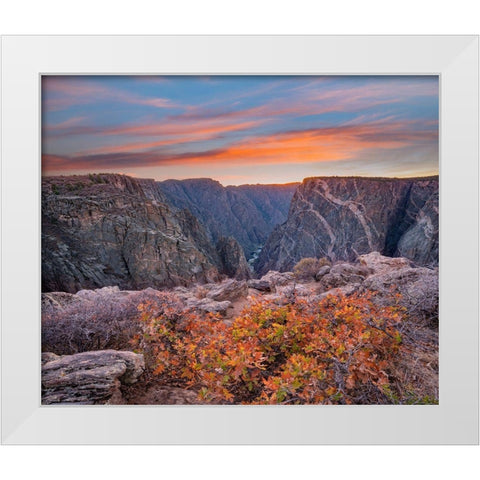 Black Canyon of the Gunnison National Park-Colorado White Modern Wood Framed Art Print by Fitzharris, Tim