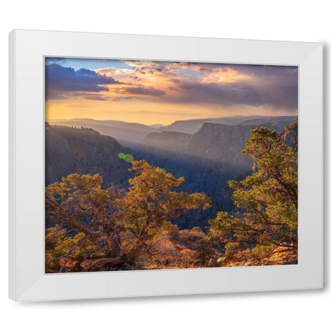 Tomichi Point-Black Canyon of the Gunnison National Park-Colorado White Modern Wood Framed Art Print by Fitzharris, Tim