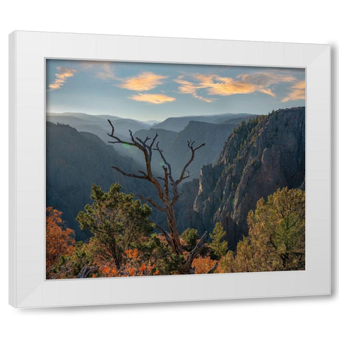 Tomichi Point-Black Canyon of the Gunnison National Park-Colorado White Modern Wood Framed Art Print by Fitzharris, Tim