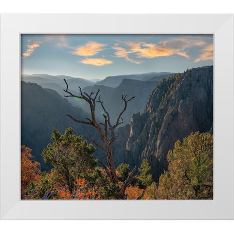 Tomichi Point-Black Canyon of the Gunnison National Park-Colorado White Modern Wood Framed Art Print by Fitzharris, Tim