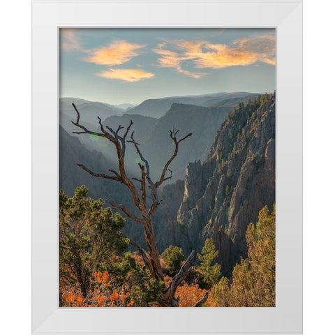 Tomichi Point-Black Canyon of the Gunnison National Park-Colorado White Modern Wood Framed Art Print by Fitzharris, Tim