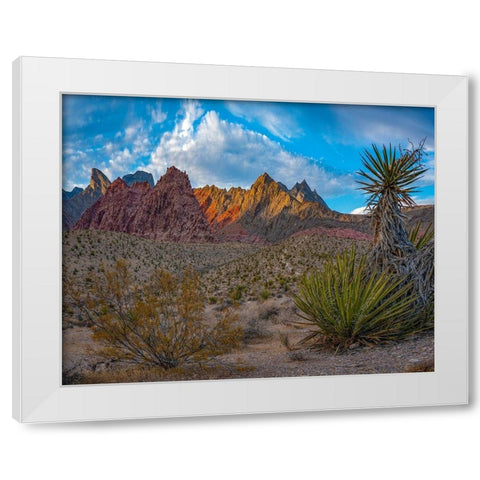 Red Rock Canyon National Conservation Area-Nevada-USA  White Modern Wood Framed Art Print by Fitzharris, Tim