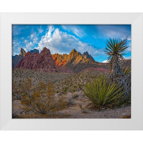 Red Rock Canyon National Conservation Area-Nevada-USA  White Modern Wood Framed Art Print by Fitzharris, Tim