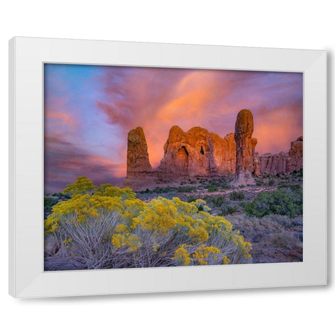 Parade of the Elephants Sandstone Formation-Arches National Park-Utah White Modern Wood Framed Art Print by Fitzharris, Tim