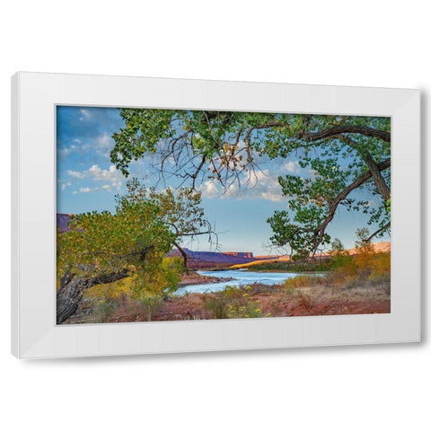 Porcupine Canyon on Colorado River near Castle Valley-Utah-USA White Modern Wood Framed Art Print by Fitzharris, Tim