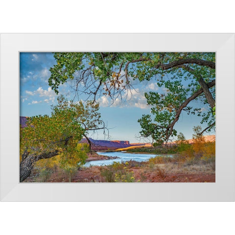 Porcupine Canyon on Colorado River near Castle Valley-Utah-USA White Modern Wood Framed Art Print by Fitzharris, Tim