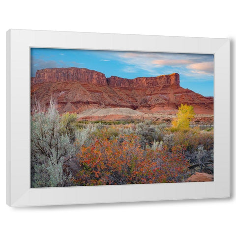 Porcupine Canyon with Dome Plateau on Colorado River near Moab-Utah White Modern Wood Framed Art Print by Fitzharris, Tim