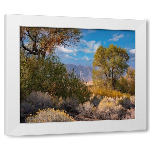 Sierra Nevada-Owens Valley-California-USA White Modern Wood Framed Art Print by Fitzharris, Tim