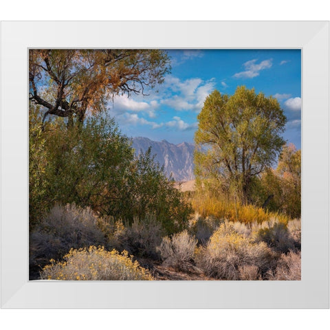 Sierra Nevada-Owens Valley-California-USA White Modern Wood Framed Art Print by Fitzharris, Tim