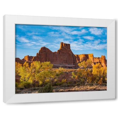 Courthouse Towers from Courthouse Wash-Arches National Park-Utah White Modern Wood Framed Art Print by Fitzharris, Tim