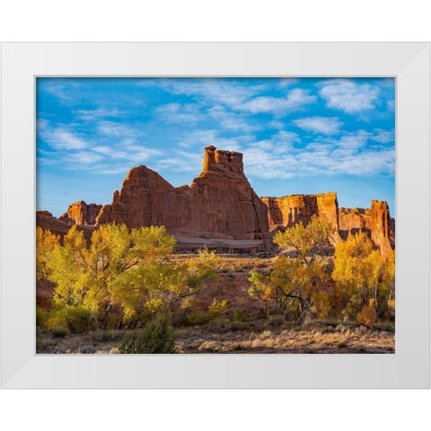 Courthouse Towers from Courthouse Wash-Arches National Park-Utah White Modern Wood Framed Art Print by Fitzharris, Tim