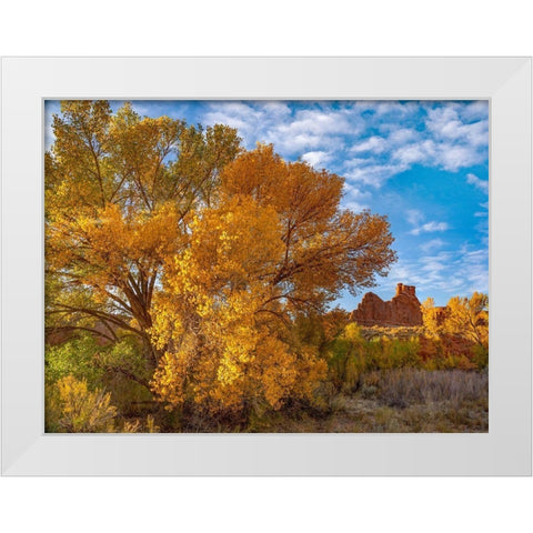 Courthouse Towers from Courthouse Wash-Arches National Park-Utah White Modern Wood Framed Art Print by Fitzharris, Tim