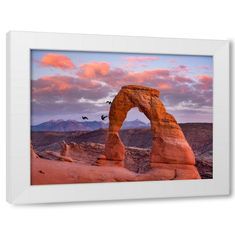 Delicate Arch-Arches National Park-Utah-USA White Modern Wood Framed Art Print by Fitzharris, Tim