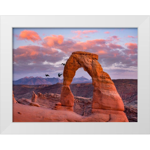 Delicate Arch-Arches National Park-Utah-USA White Modern Wood Framed Art Print by Fitzharris, Tim