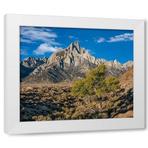 Lone Pine Peak-Eastern Sierra-California White Modern Wood Framed Art Print by Fitzharris, Tim