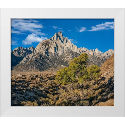 Lone Pine Peak-Eastern Sierra-California White Modern Wood Framed Art Print by Fitzharris, Tim