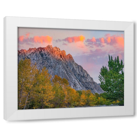 Mount Tom-Eastern Sierra-California-USA White Modern Wood Framed Art Print by Fitzharris, Tim