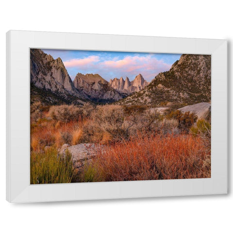 Mount Whitney-Sequoia National Park-California-USA White Modern Wood Framed Art Print by Fitzharris, Tim