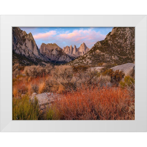 Mount Whitney-Sequoia National Park-California-USA White Modern Wood Framed Art Print by Fitzharris, Tim
