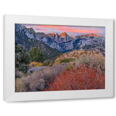 Mount Whitney-Sequoia National Park-California-USA White Modern Wood Framed Art Print by Fitzharris, Tim