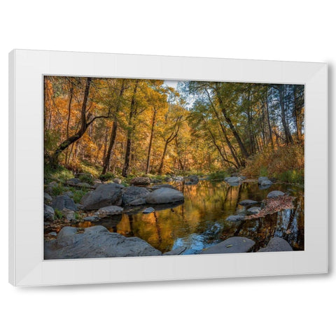 Oak Creek near Sedona-Arizona-USA White Modern Wood Framed Art Print by Fitzharris, Tim