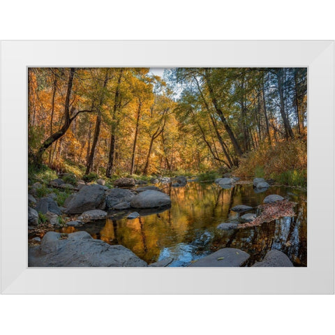 Oak Creek near Sedona-Arizona-USA White Modern Wood Framed Art Print by Fitzharris, Tim