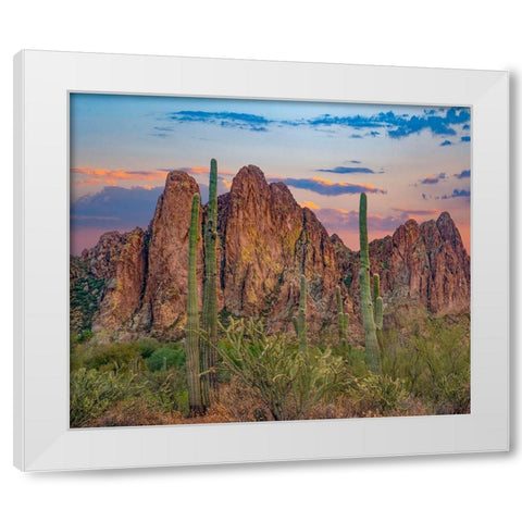 Usury Mountains from Tortilla Flat-Arizona-USA White Modern Wood Framed Art Print by Fitzharris, Tim