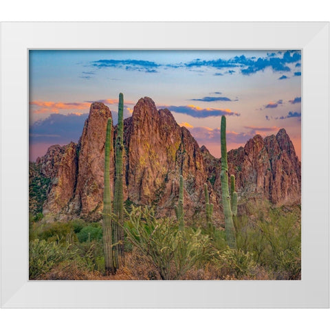 Usury Mountains from Tortilla Flat-Arizona-USA White Modern Wood Framed Art Print by Fitzharris, Tim