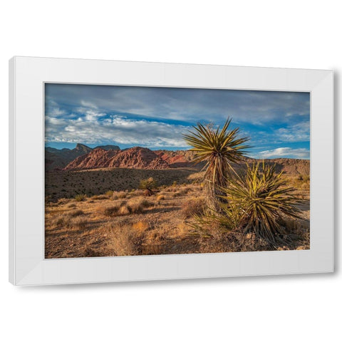 Red Rock Canyon National Conservation Area near Las Vegas-Nevada White Modern Wood Framed Art Print by Fitzharris, Tim